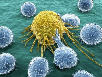 Scientists say cancer fatal weakness to kill every cancer cell